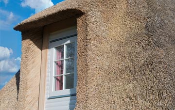Woolley thatch roof disadvantages